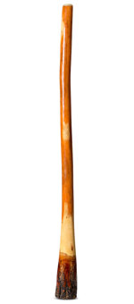 Ironbark Didgeridoo (IB208)